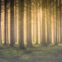 A Place in the Clouds - REIKI, Exam Study Classical Music Orchestra, Relaxation Meditation Songs Divine