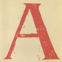 My Pilgrim Dear - Cass McCombs