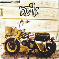 Проблемы? - Bzik