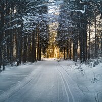 Santa's Lullaby - Traditional Christmas Carols Ensemble, Relaxing Piano Music Consort, Nature Sounds Nature Music