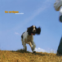 Cloudy Sky - The Cardigans