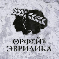 Не тот (Эвридика) - Noize MC, Leila