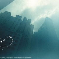 Control Yourself - Lingua