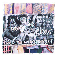 Covered in Roses - Toad The Wet Sprocket