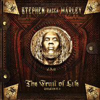 Scars On My Feet - Stephen Marley, Waka Flocka Flame