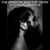 Goodmorning - William Fitzsimmons