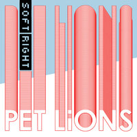 Propeller Plane - Pet Lions
