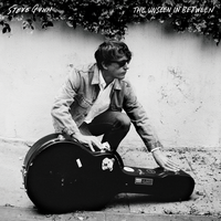 Lightning Field - Steve Gunn