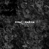 Не бери в голову - KALI, Райда