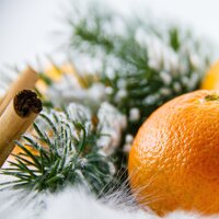 I Can 'Bearly' Wait for Christmas - Nature Soundscapes, Exam Study Classical Music Orchestra, Piano Soul, Exam Study Classical Music Orchestra, Nature Soundscapes