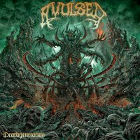 Breaking Hymens - Avulsed, Per Boder, God Macabre