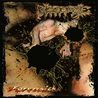 Crevice Flux Warts - Disgorge