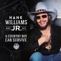 Whiskey Bent and Hell Bound - Hank Williams Jr.