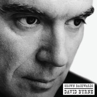 Why - David Byrne