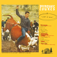 Careers in Combat - Parquet Courts
