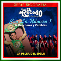 Mi Castigo - Banda El Recodo