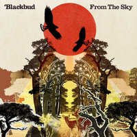 Switch - Blackbud