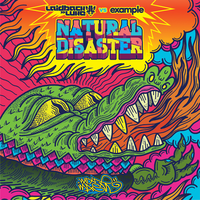 Natural Disaster - Laidback Luke, Example, Skream