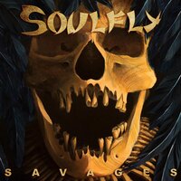 K.C.S. - Soulfly