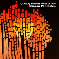 I Fold - Sharon Van Etten