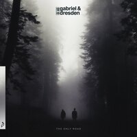 I'm Not Like Everybody Else - Gabriel & Dresden, Sub Teal
