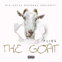 Rejuvenated - Plies