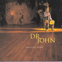 I Don't Wanna Know - Dr. John