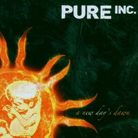Crawling - Pure Inc.