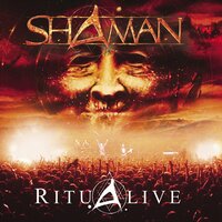 Eagle Fly Free - Shaman