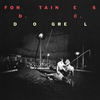 Big - Fontaines D.C.
