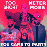 Meter Mobb