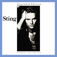 Little Wing - Sting