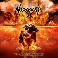 Final War - Necrodeath