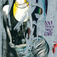 Asking Too Much - Ani DiFranco