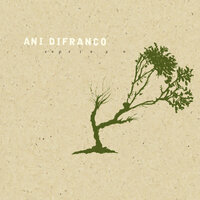 In The Margins - Ani DiFranco
