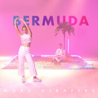 Surf - More Giraffes