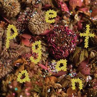 Answer My Text - Pwr Bttm