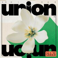 Reasons - Saint Saviour