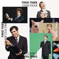 On Sunday - Timid Tiger