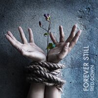 Scars - Forever Still