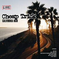 Aint That A Shame - Cheap Trick
