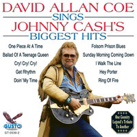 Sunday Morning Coming Down - David Allan Coe