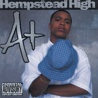 Up Top New York - A+, Mr.Cheeks of the Lost Boyz