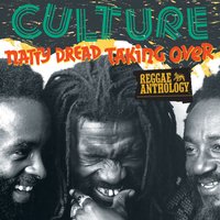 This Time - Culture