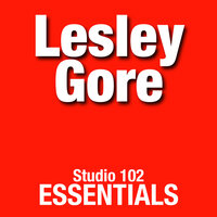 Haven't Got Time for the Pain - Lesley Gore