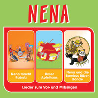 Winter ade - NENA