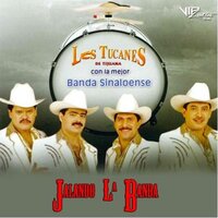 El Cachorro - Los Tucanes De Tijuana