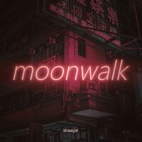 Skywalker - Shaagal