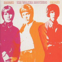 Turn Out The Moon - The Walker Brothers