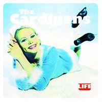 Beautiful One - The Cardigans